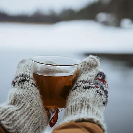 Pellinge Marina 5* بورفو