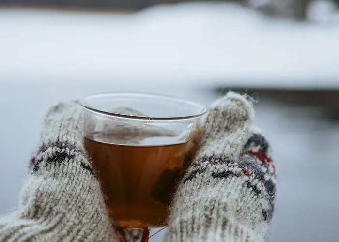 Pellinge Marina 5* بورفو